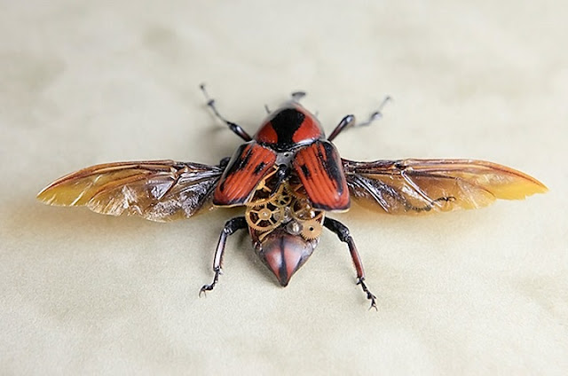 incredibly steampunk insect by Lindsay Bessanson