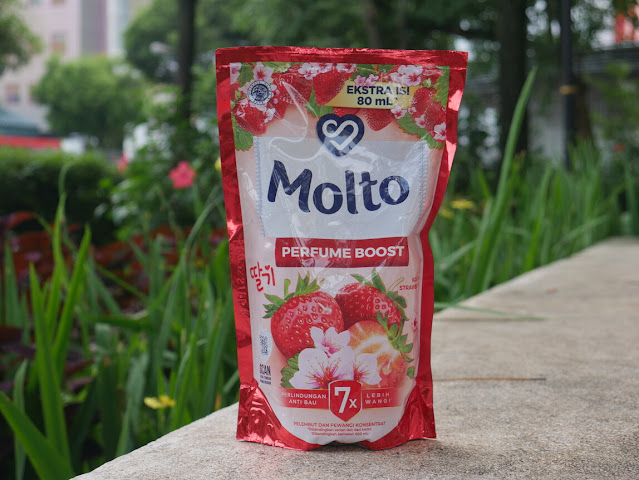 molto korean strawberry