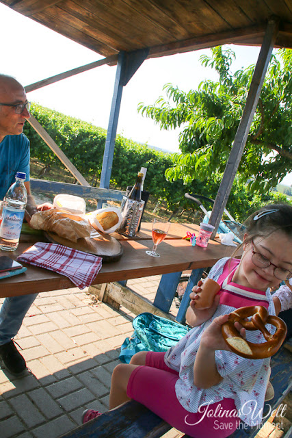 Picknick in den weinbergen