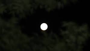 আজ বছরের দৈঘ্য তম রাত কেনো