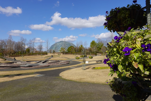 鳥取県西伯郡南部町鶴田 とっとり花回廊 霧の庭園