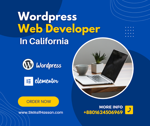 Expert Wordpress Web Developer In California