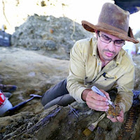 Saintis temukan fosil dinosaur pertama yang terbunuh ketika asteroid besar melanda Bumi 66 juta tahun lalu