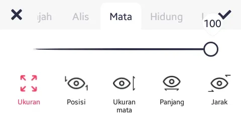 Tab Mata