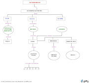 . http://www.eduteka.org/pdfdir/MapasConceptuales.pdf , además se les . (dictadura militar)