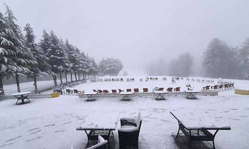 Snow fall in Murree pic