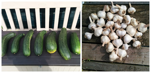 courgette and garlic - www.growourown.blogspot.com