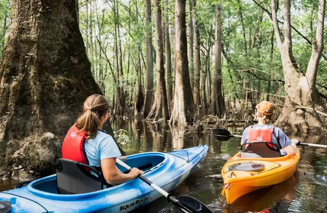 Two women boating in a lake in Greenville, NC