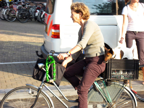 Costumbres ciclistas en Amsterdam