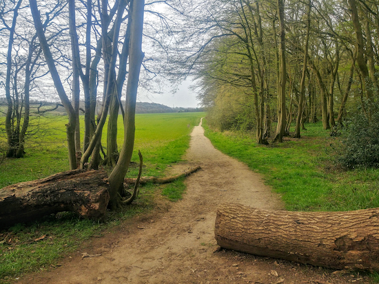 Cutting through How Wood on Graveley bridleway 5