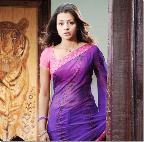 actress trisha spicy