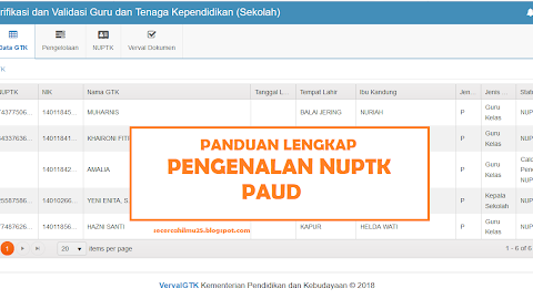 Panduan Lengkap Pengenalan NUPTK PAUD