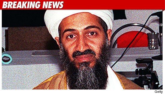 bin laden twin towers. osama in laden twin towers.