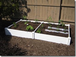 Garden March 27, 2017