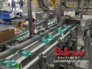 Case Packer Cartoning Line for Doypack Pouches