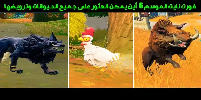 فورت نايت أين يمكن العثور على جميع الحيوانات وترويضها، فورت نايت،  تحليل اسلحة فورت نايت،  فورت نايت بث مباشر،  جميع اسلحة فورت نايت،  مقارنة اسلحة فورت نايت،  مقارنة بين اسلحة فورت نايت،  افضل اعدادات فورت نايت،  فورت نايت السيزون الجديد،  اسلحة فورت نايت السيزون الجديد،  افضل اسلحة فورت نايت،  اعدادات فورت نايت،  افضل ترتيب اسلحة فورت نايت،  افضل ترتيب اسلحة في فورت نايت،  فورت،  فورت نايت التحديث الجديد،  اعدادات فورت نايت للسوني،  كيف تطور لعبك في فورت نايت،  اعدادات محترفين فورت نايت،  اسلحة فورت نايت،  افضل،  خشب فورت نايت