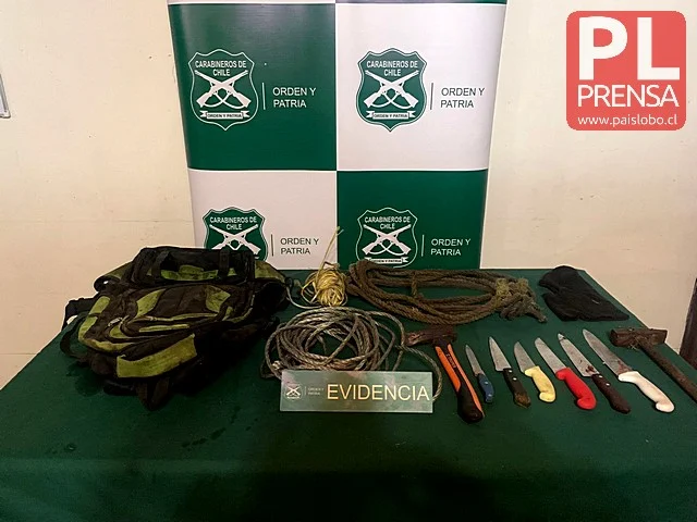 Carabineros captura a cuatreros en Puyehue