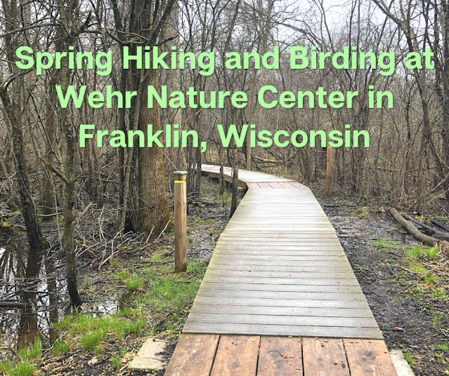 Spring Hiking and Birding at Wehr Nature Center in Franklin, Wisconsin