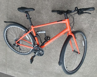 Stolen Bicycle - Ridgeback Motion