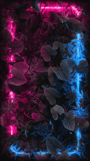 Beautiful Neon Plants Mobile Wallpaper is free nature wallpaper. First of all this fantastic wallpaper can be used for Apple iPhone and Samsung smartphone.