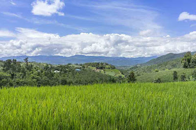 Potensi dan Pelestarian Lahan Potensial & Lahan Kritis