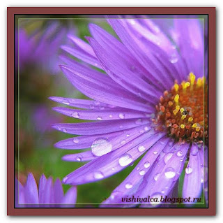 "Septembers Flower - Aster" Tilton Crafts