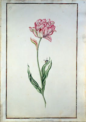 18th century flower painting