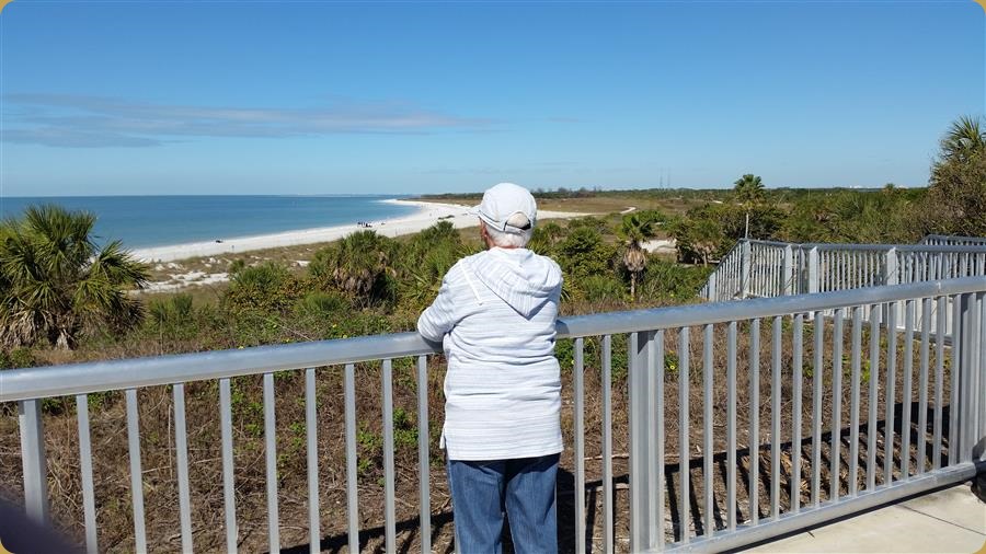 View From Fort Desoto