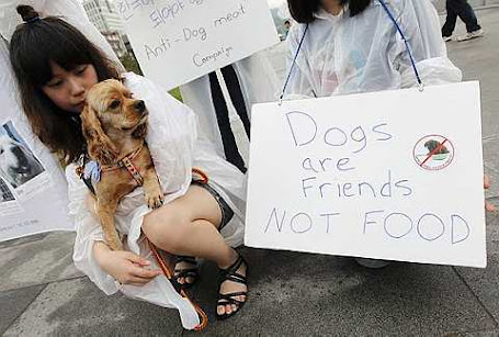 activist holds a dog rescued