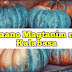 Paano Magtanim ng Kalabasa