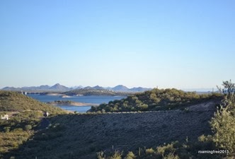 DSC_0773