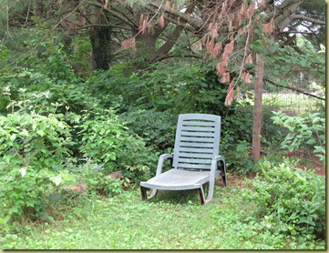 Reading Spot