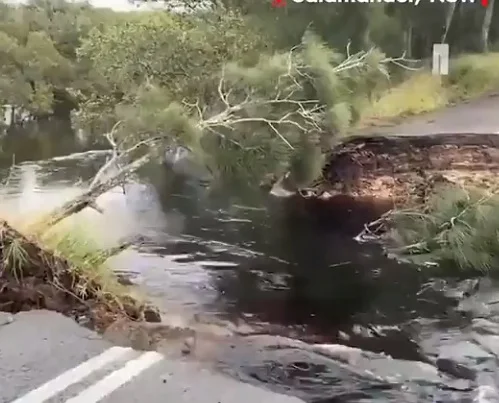 Evacuation begins in New South Wales due to record flooding, Australia