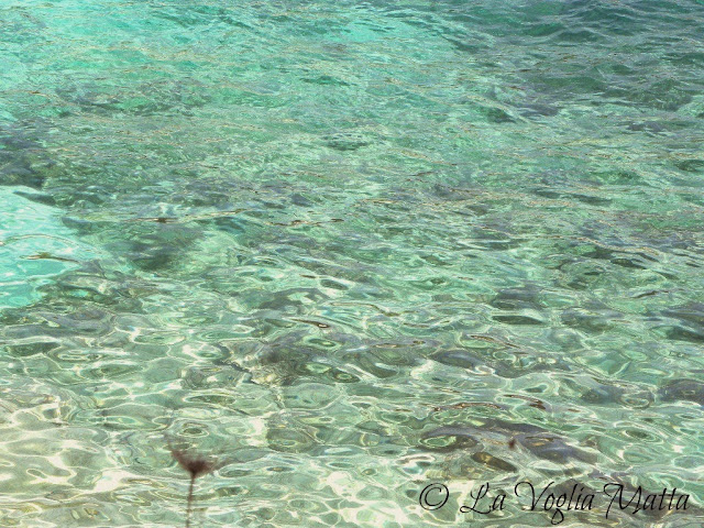 splendido mare di Cefalonia