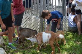  Austin Petting Zoo