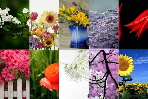 Flores y Arreglos florales para el Día de las Madres II