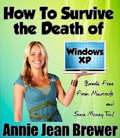 How to Survive the Death of Windows XP