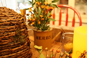 herb watering can
