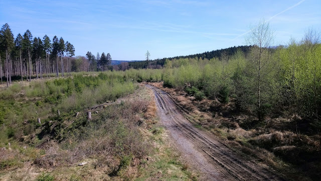 Sauerland wandern Wetter blog Möhnesee Arnsberger Wald