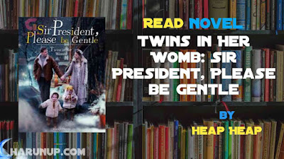Read Twins in Her Womb: Sir President, Please be Gentle Novel Full Episode
