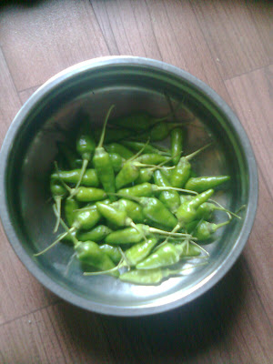 GREEN CHILLY 