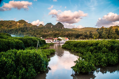 Menjelajahi Hutan Mangrove Kebumen