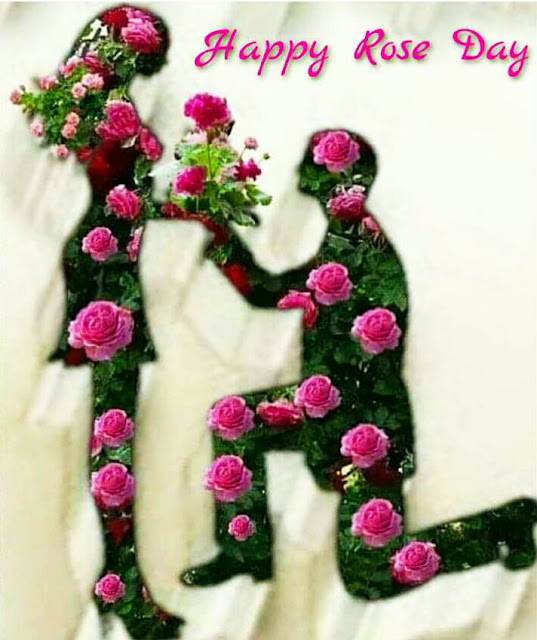 Rose Day Images For Whatsapp