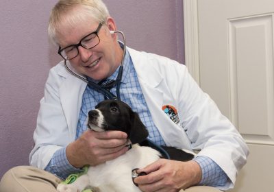 An interview with Dr. Marty Becker, founder of the Fear Free movement, here with a dog having a Fear Free visit to the veterinarian