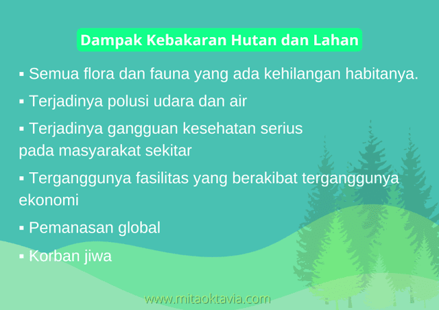 dampak kebakaran hutan dan lahan yang terjadi dan merugikan