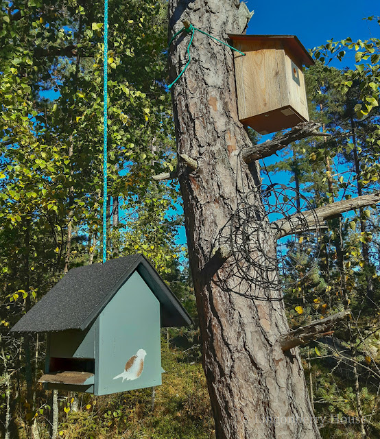 lingonberryhouse, DIY, lintujen talo, lintulauta, bird feeding house, crafts