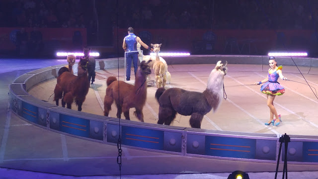 Ringling Bros and Barnum & Bailey Out Of This World circus