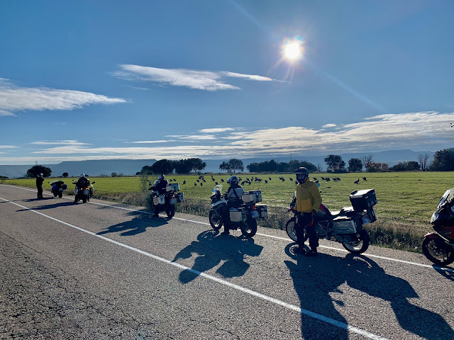 bmw f800 gs