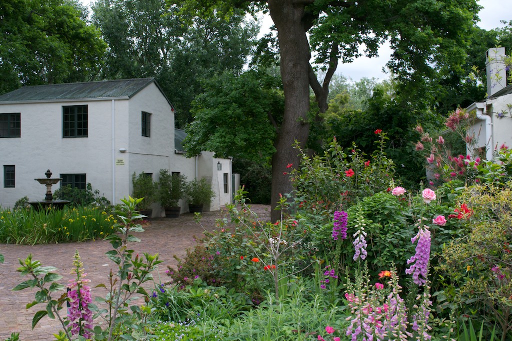 Driftwood Ramblings: Klein Champagne [Franschhoek Open Garden 2011]