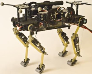 This is cheetah-cub, a compliant quadruped robot. 